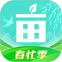 场播云